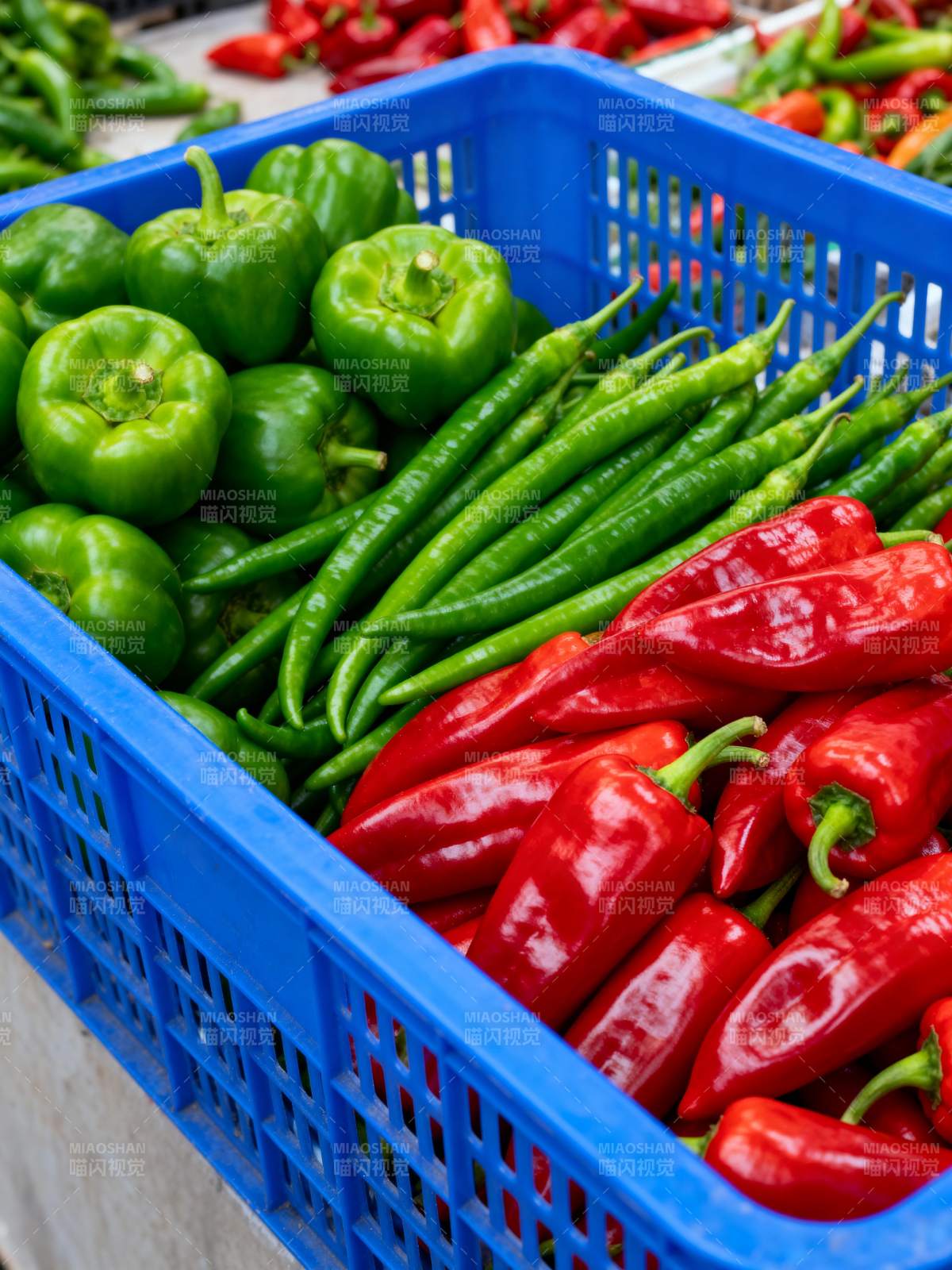 新鲜彩椒满篮图片