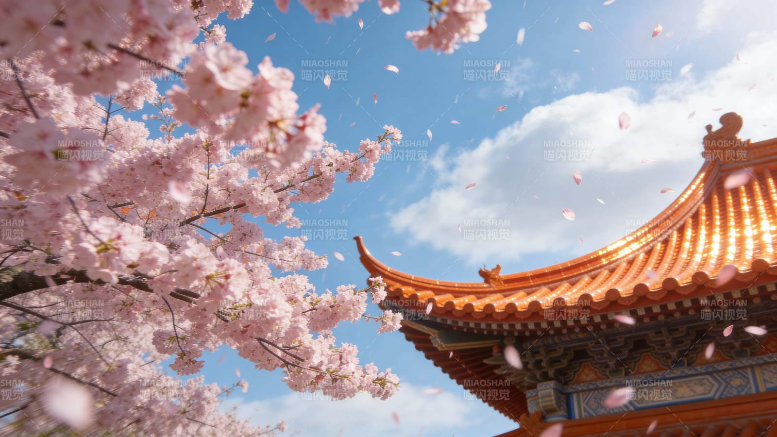 樱花飞舞古建筑图片