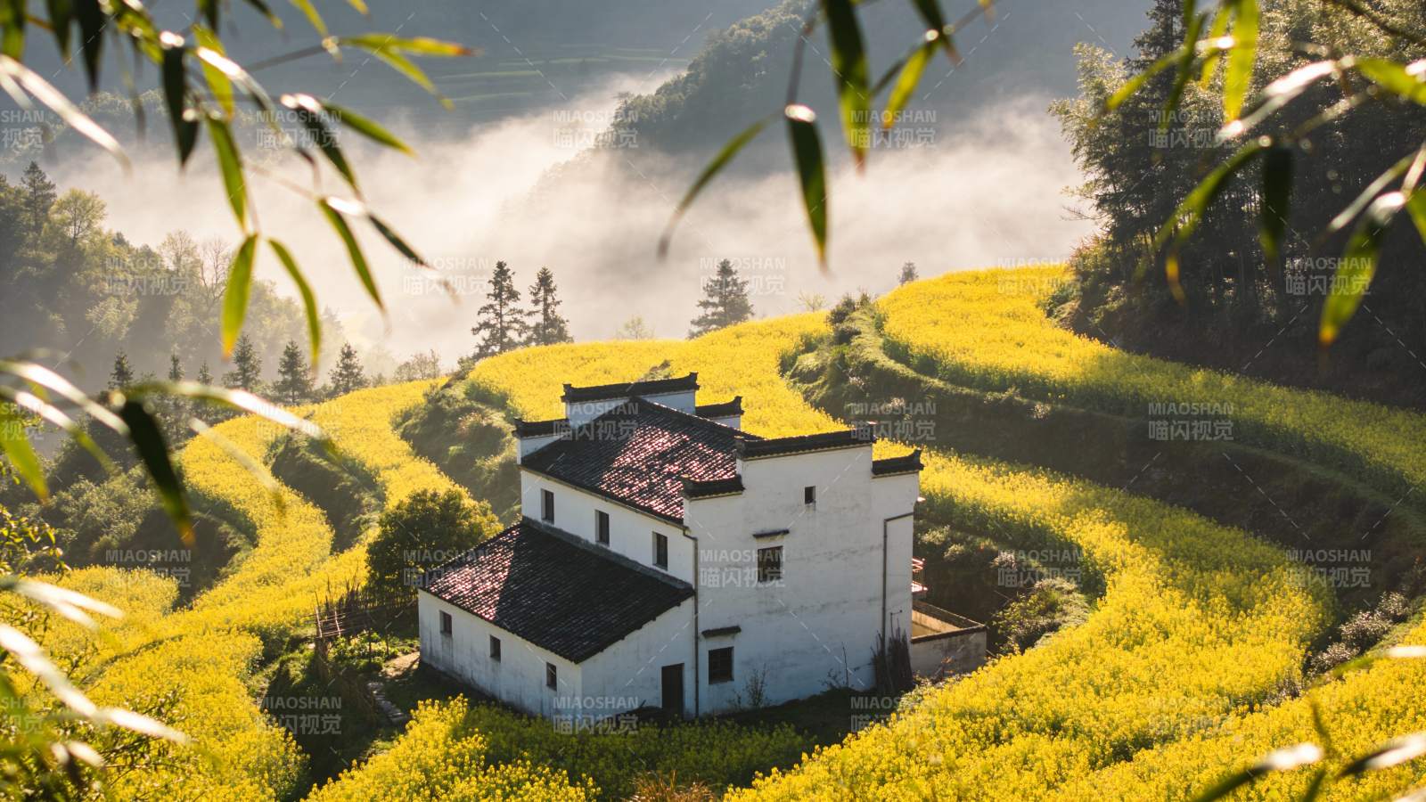 山间花海小屋图片
