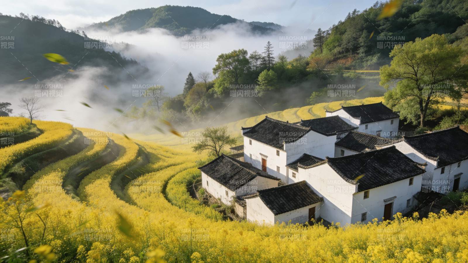 油菜花海山村晨雾图片