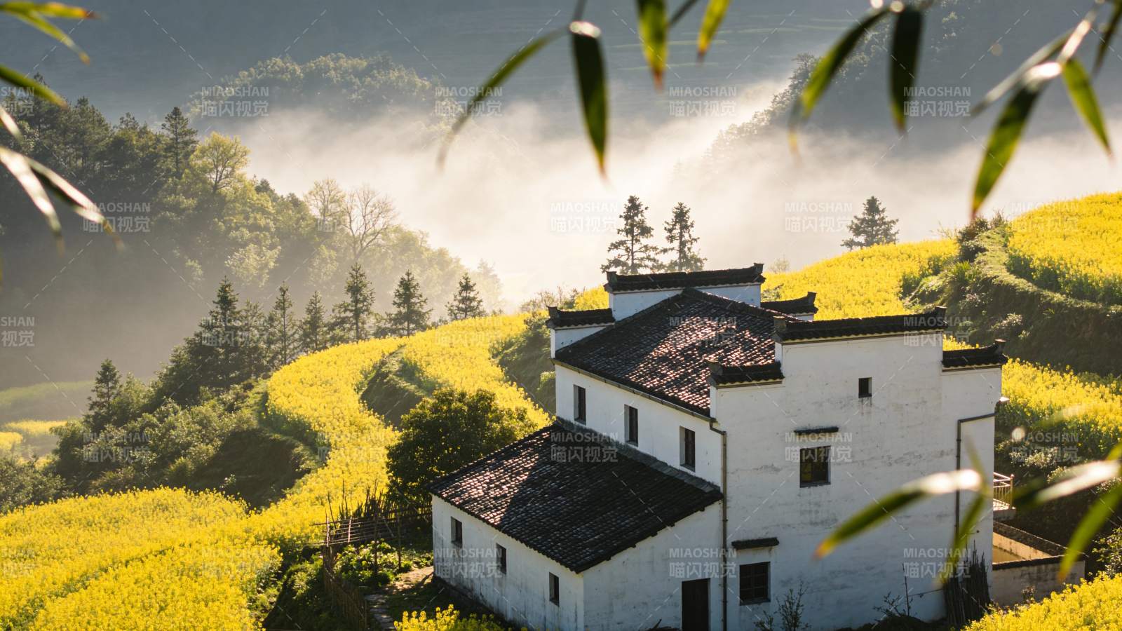 晨雾中的田园小屋图片