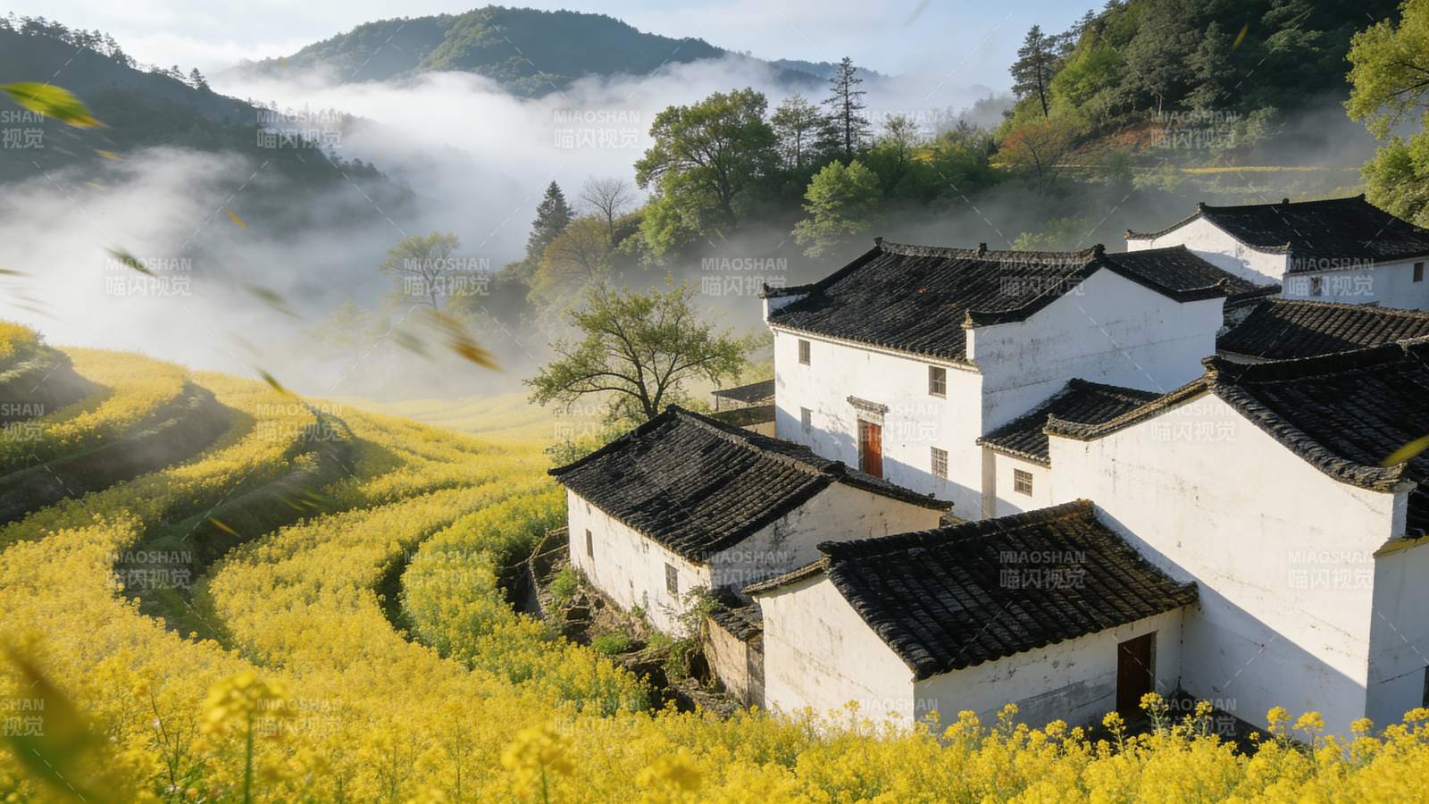 油菜花海中的古村图片