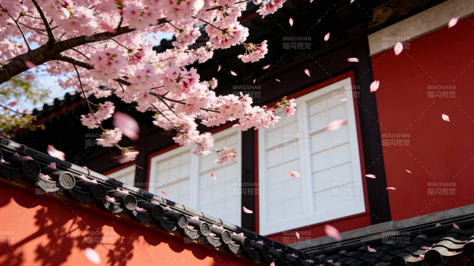 樱花飘落古建筑图片