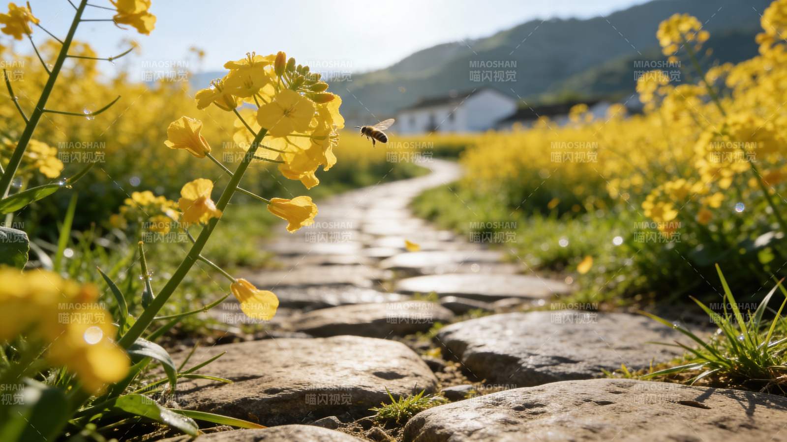 花径蜂飞春意浓图片