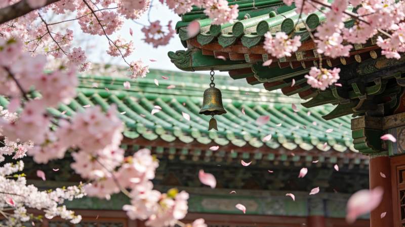 樱花古寺钟声图片