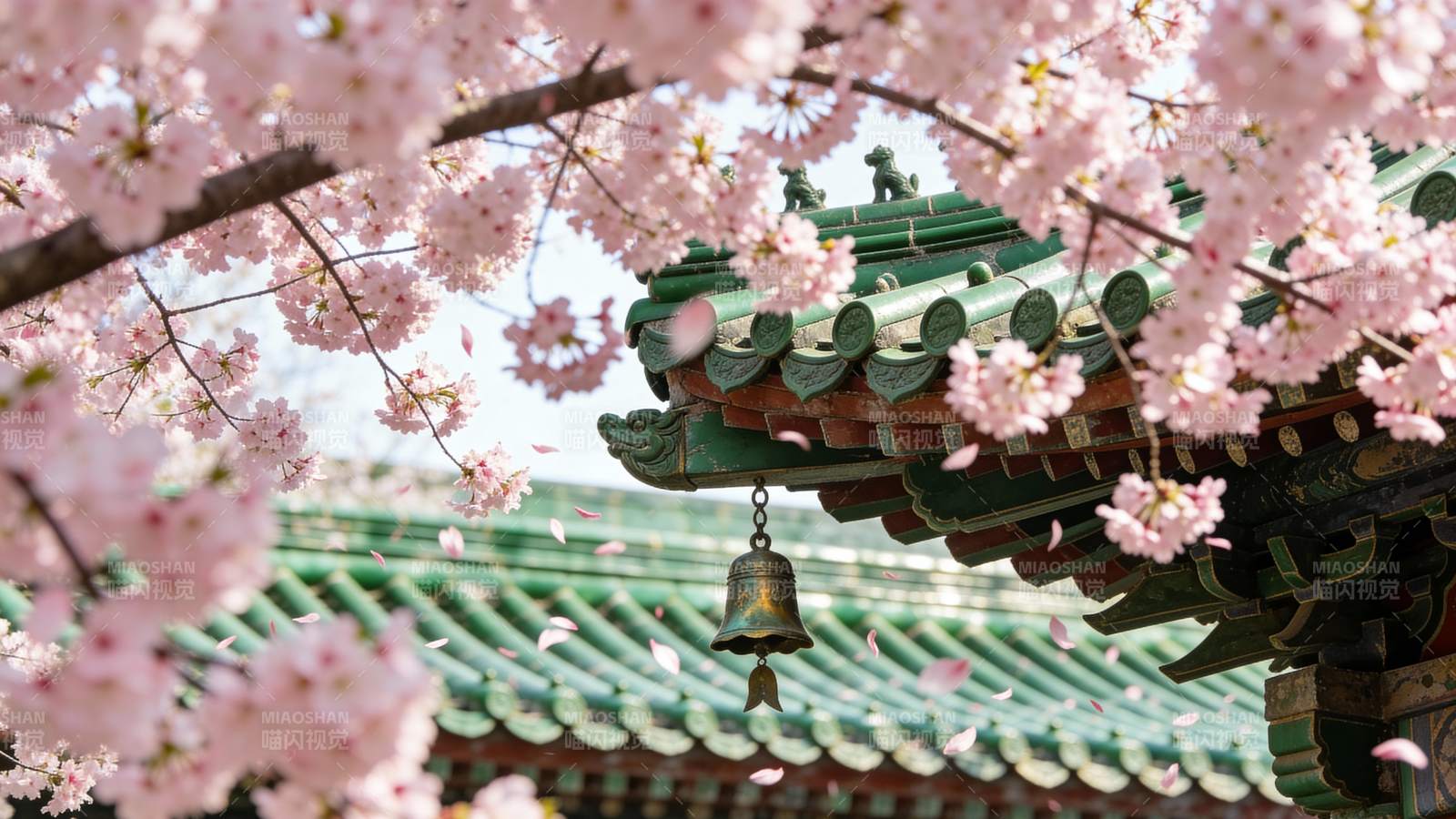 樱花古寺钟声图片