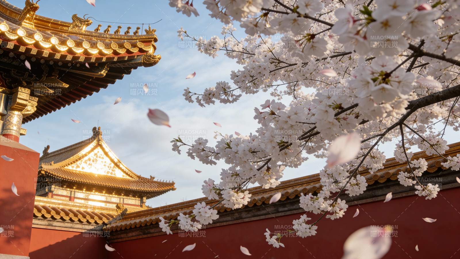 樱花纷飞古殿前图片