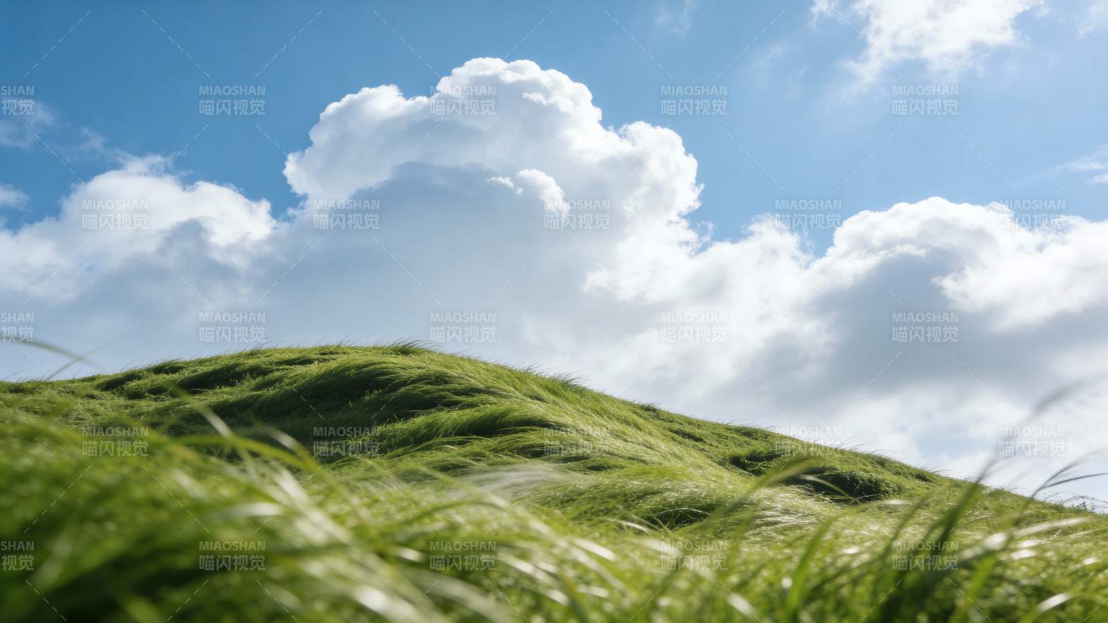 绿野蓝天白云图片