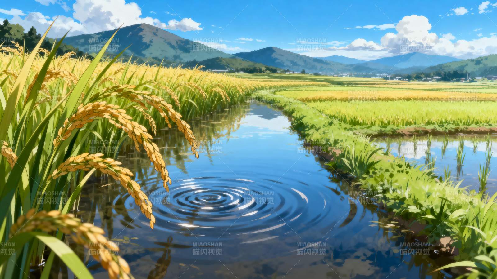 稻田水镜映青山图片