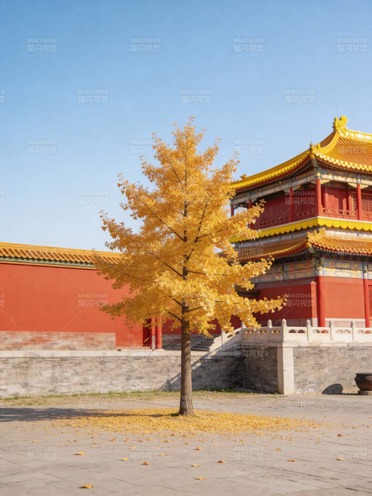 秋树映宫墙图片