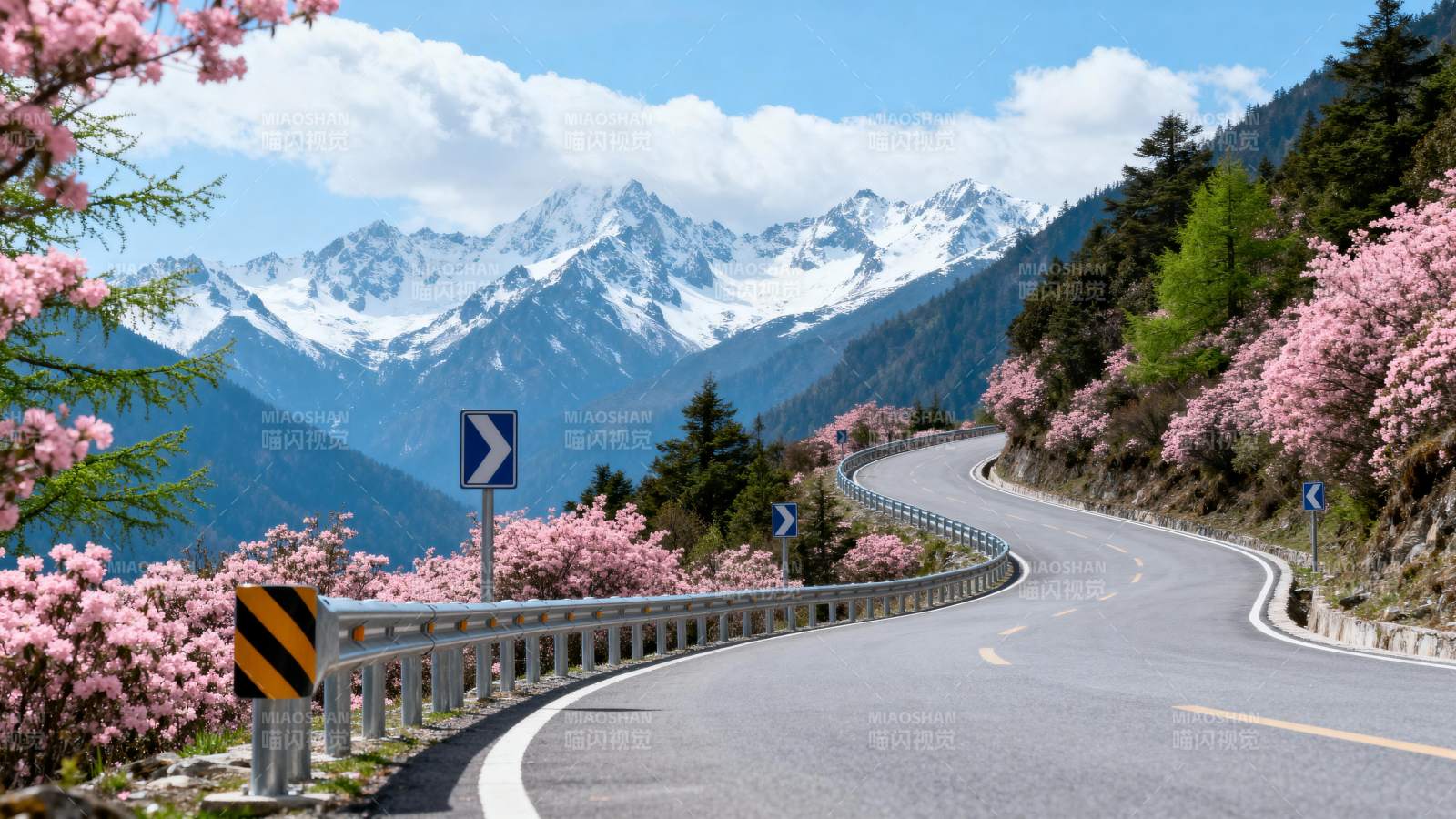 雪山花路美景图片