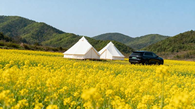 花海露营 春日美景图片