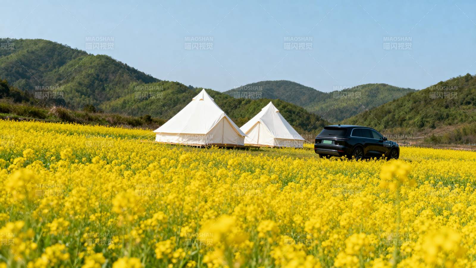 花海露营 春日美景图片