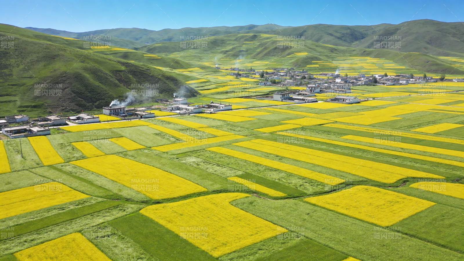 油菜花田风光图片