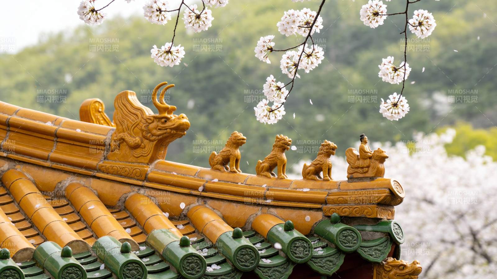 古建筑屋檐春景图片