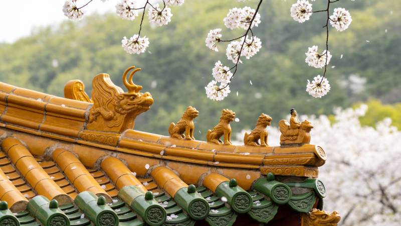 古建筑屋檐春景图片