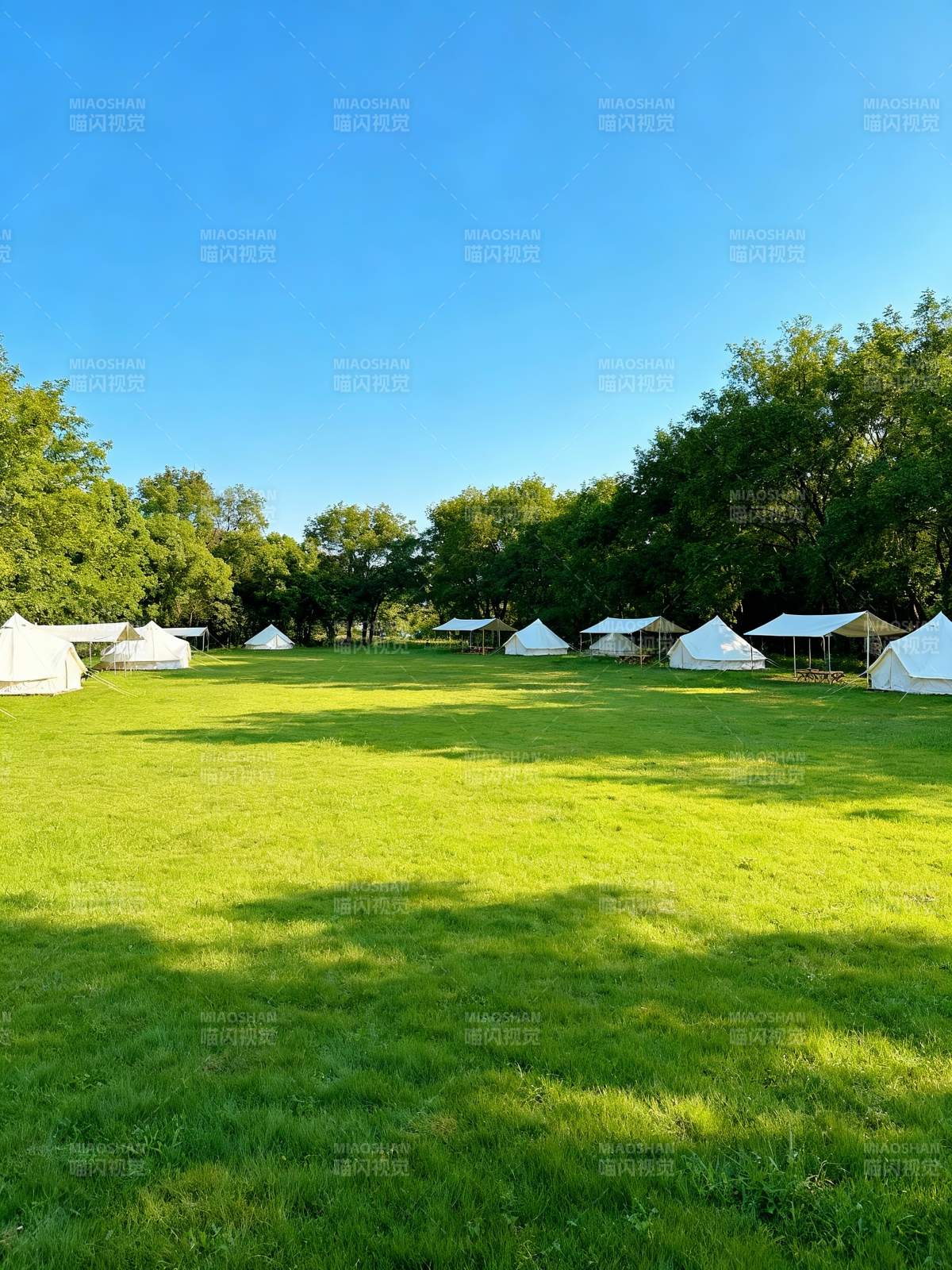绿茵上的白色帐篷图片