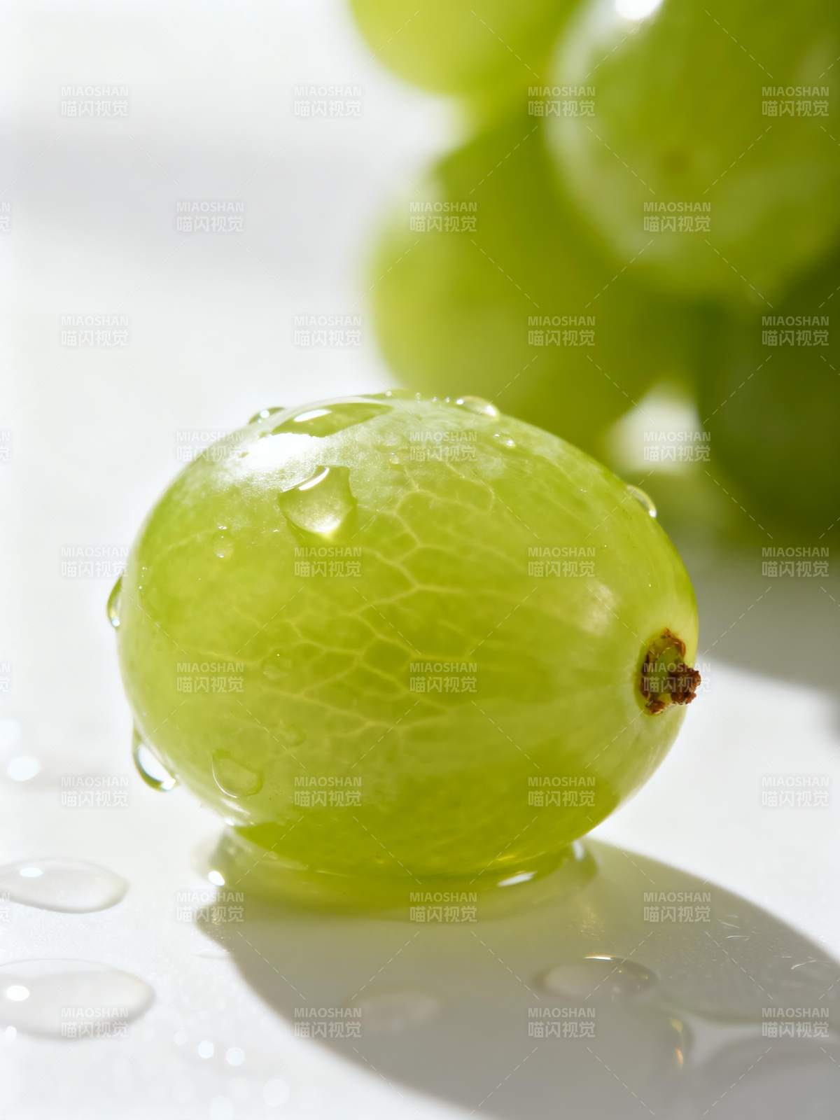 晶莹绿葡萄图片