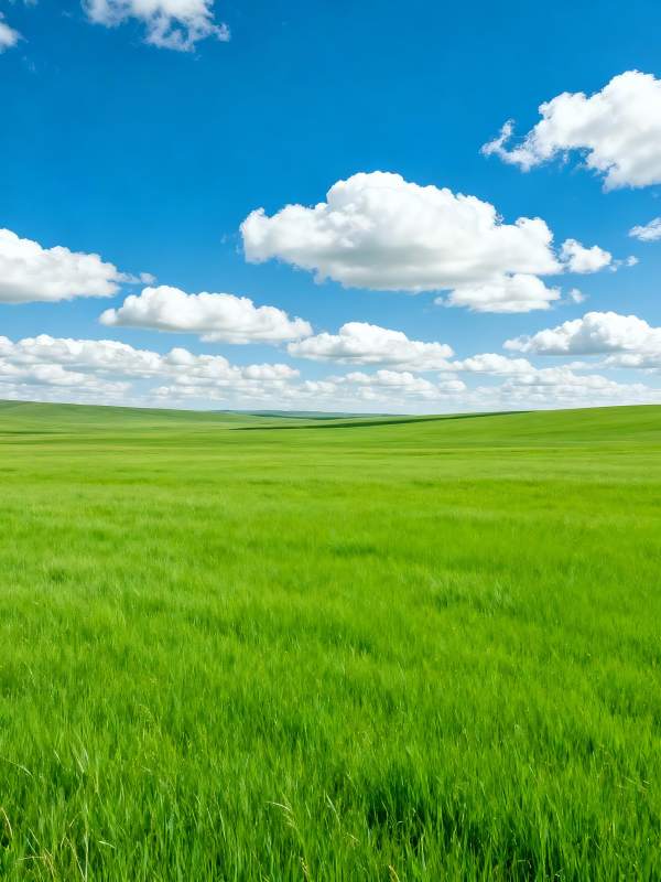 绿野蓝天白云图片