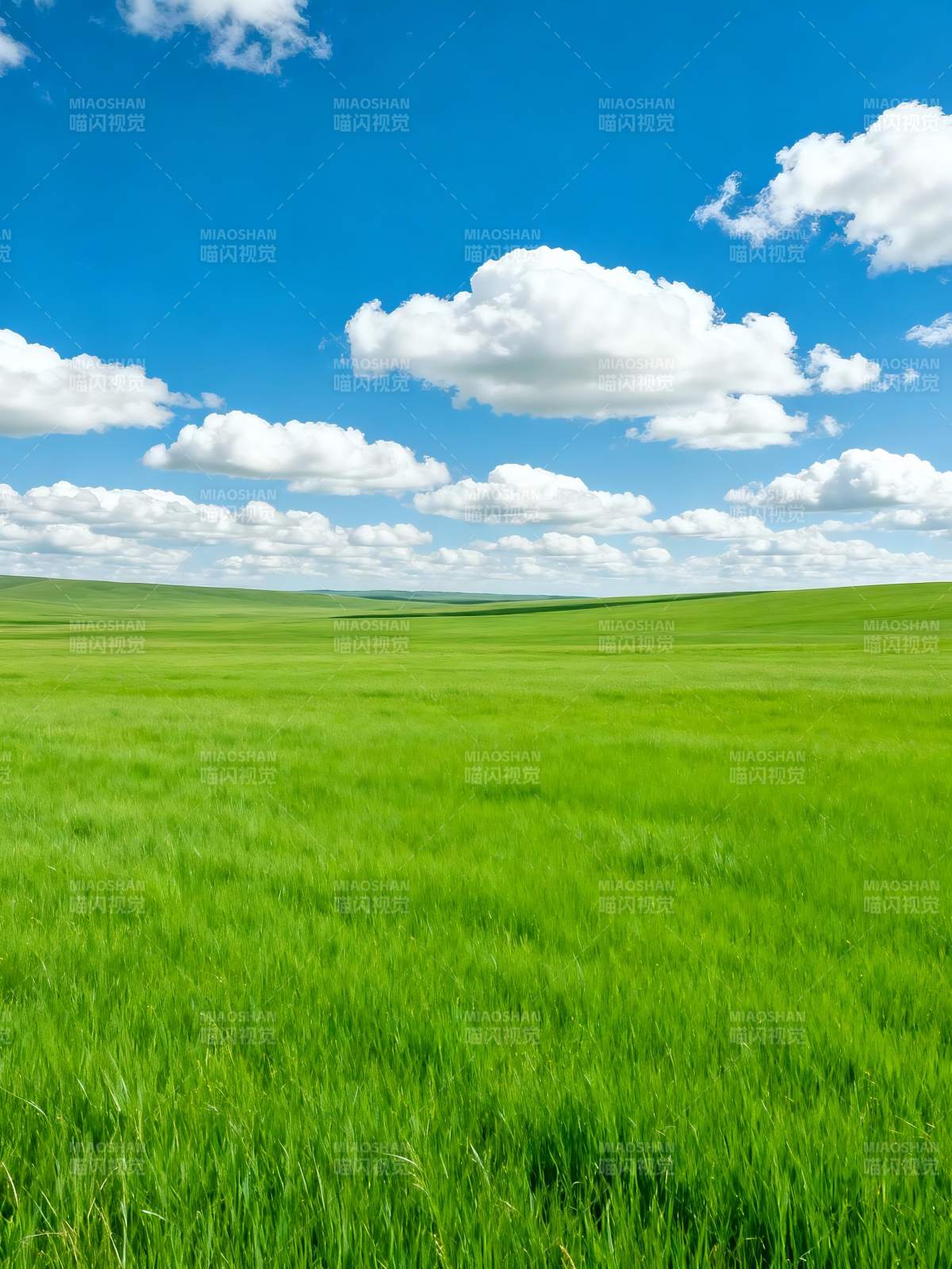绿野蓝天白云图片