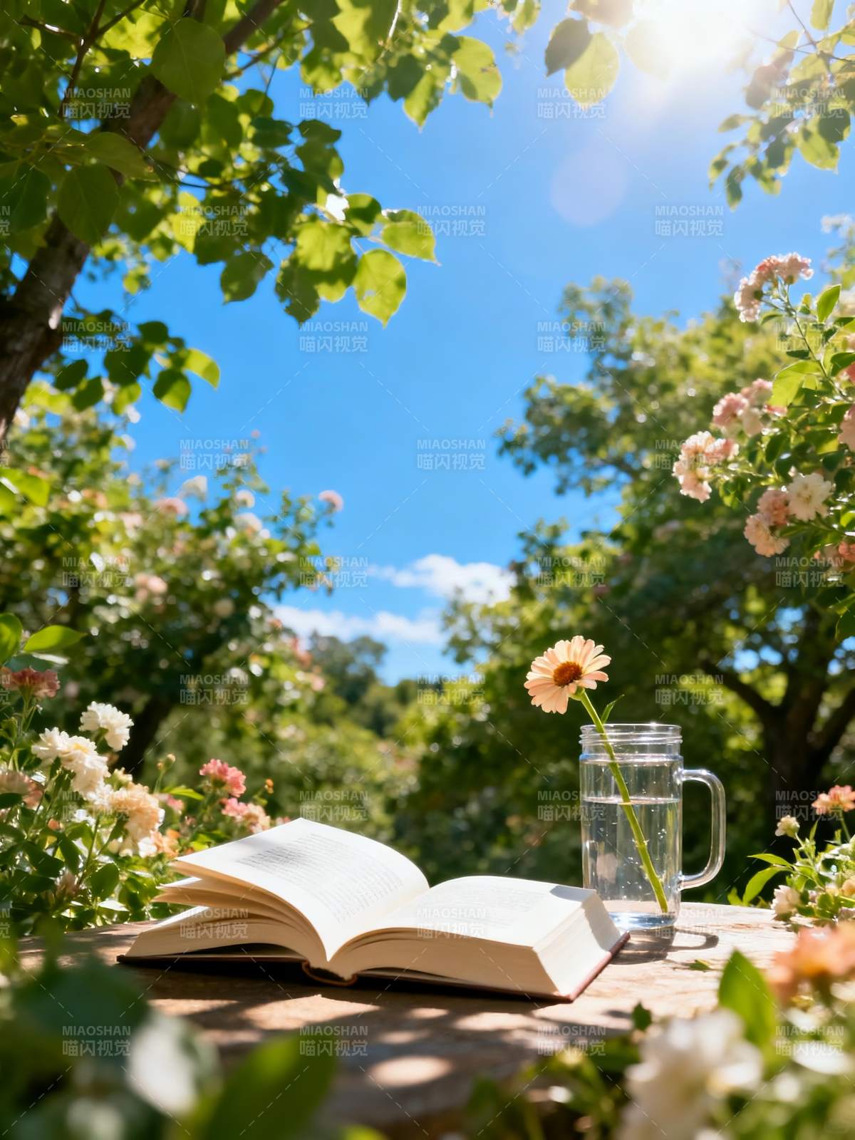 花园读书时光图片