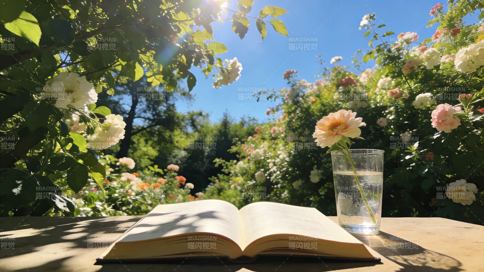 花园读书时光图片