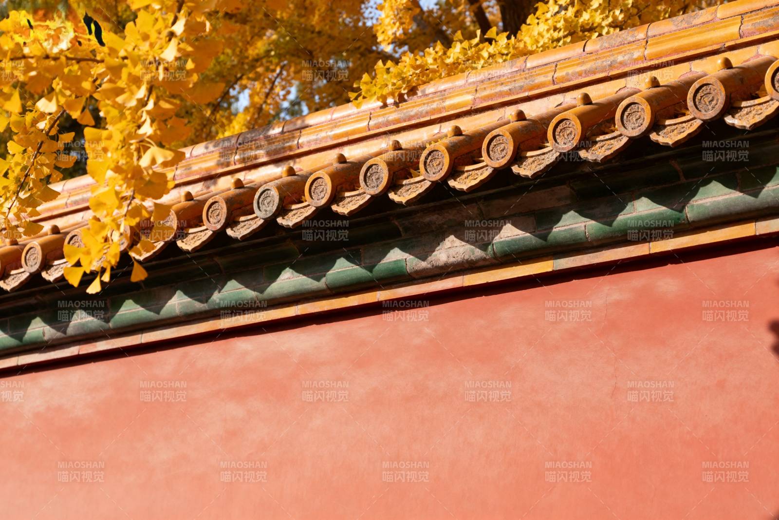 秋叶映古檐图片