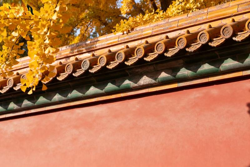 秋叶映古檐图片