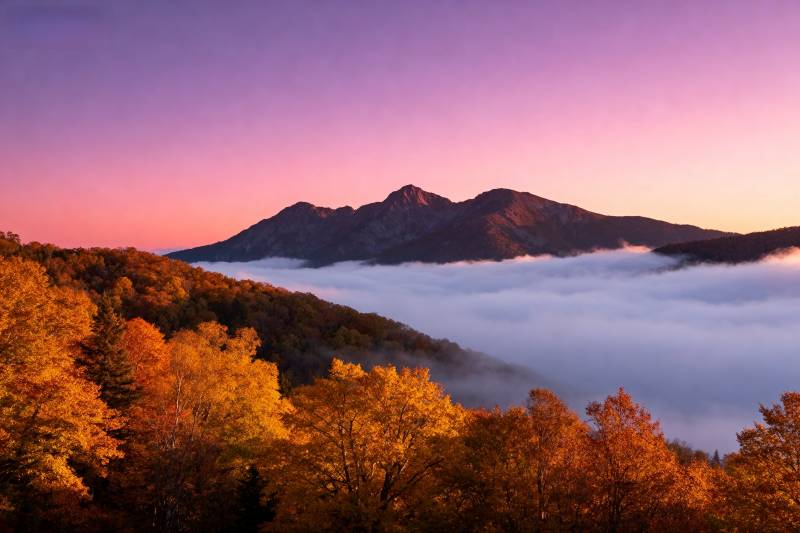 秋山云海日出图片