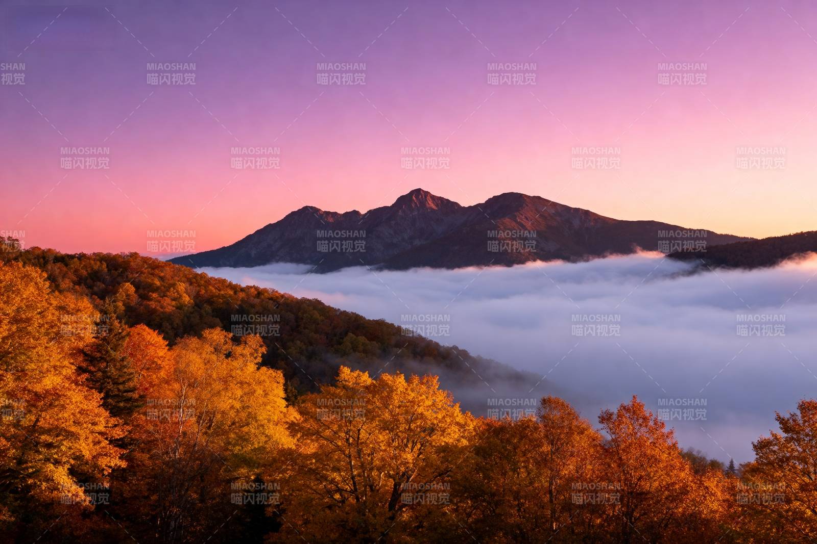 秋山云海日出图片