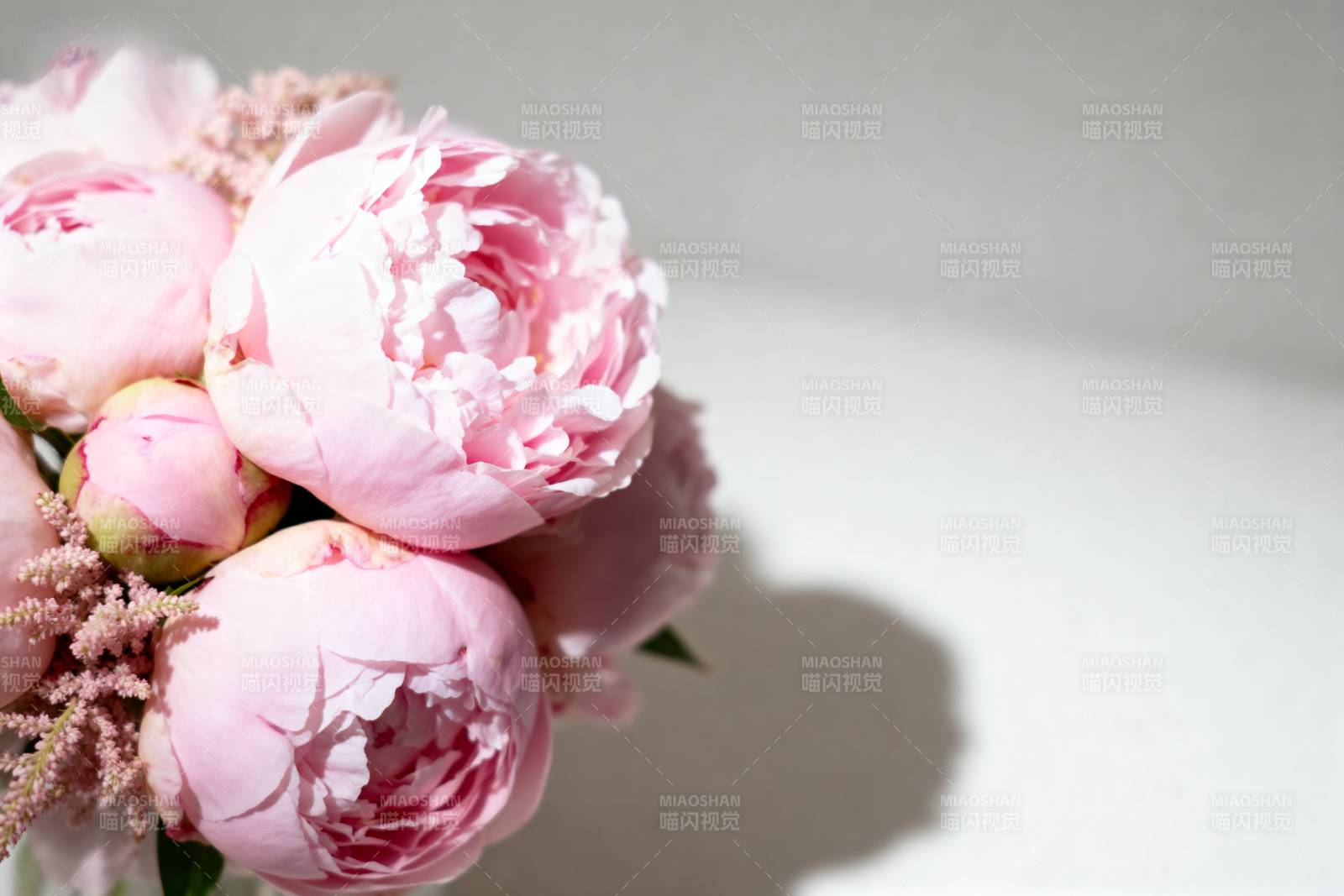 粉嫩牡丹花束图片