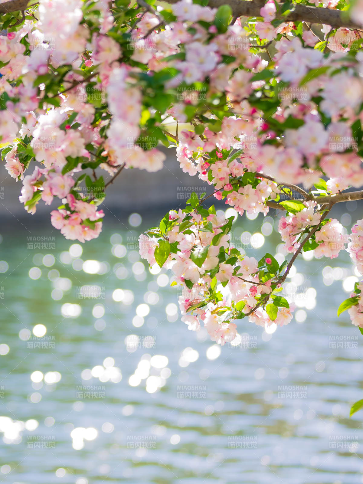 元大都遗址海棠花溪图片