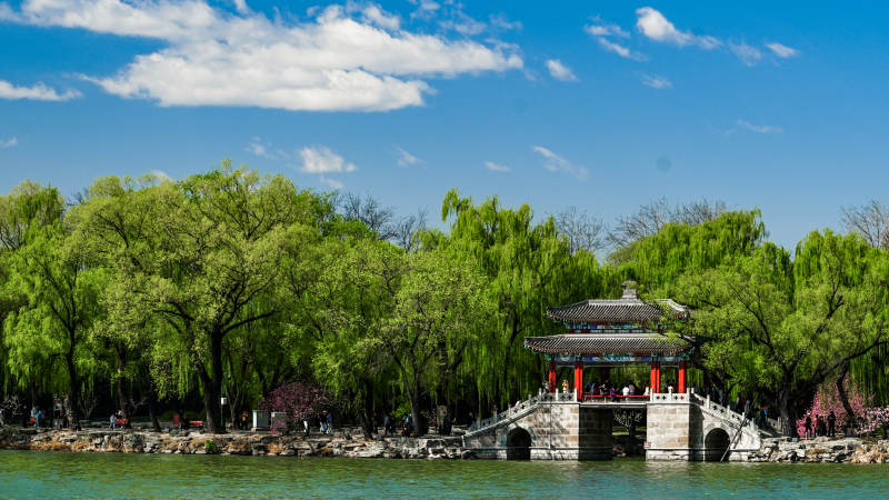 湖畔古亭春景图片