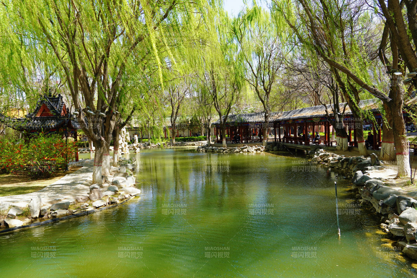 春日园林水景图片