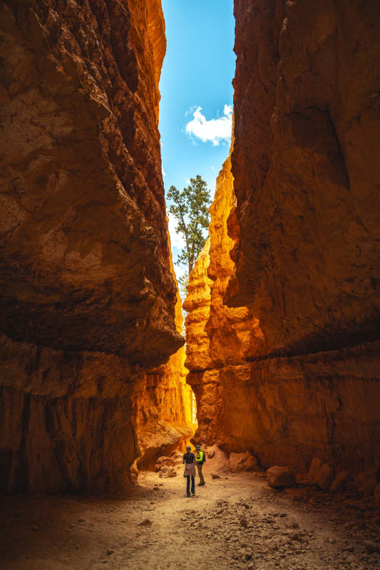 美国犹他州布莱斯峡谷国家公园自然地貌图片