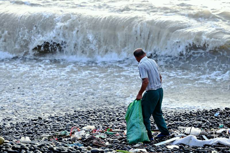 海滩拾荒者图片