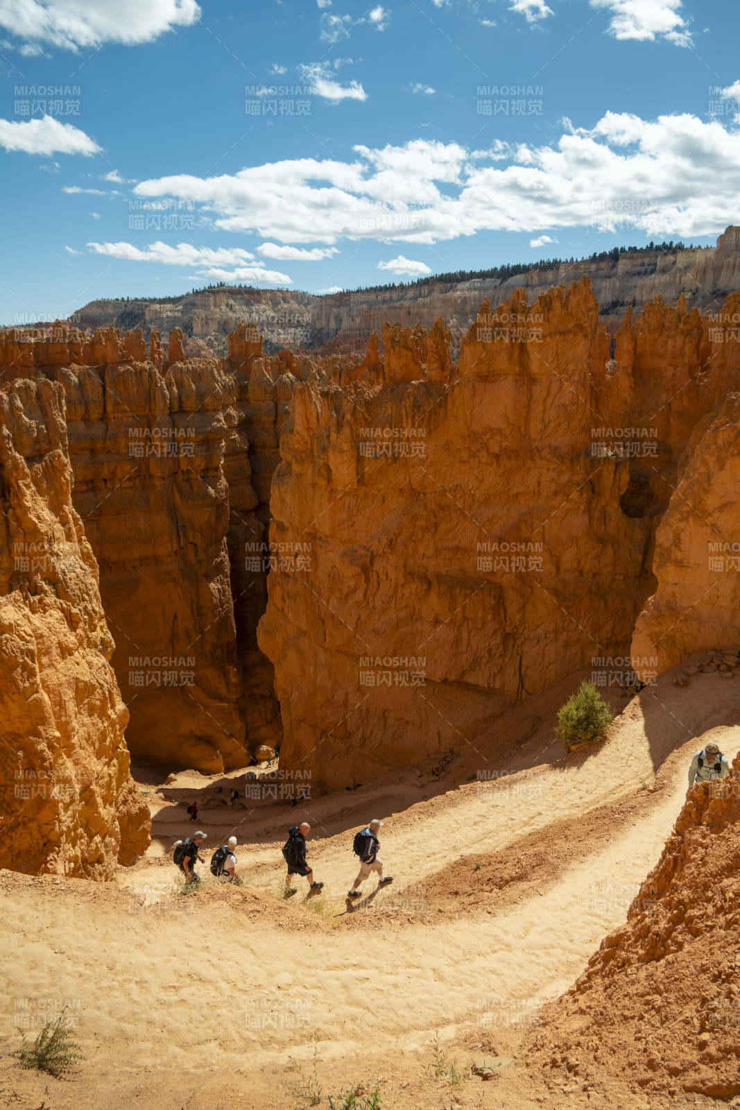 峡谷徒步探险图片