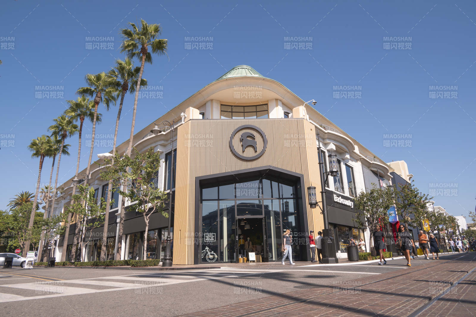 棕榈树下的现代商场图片
