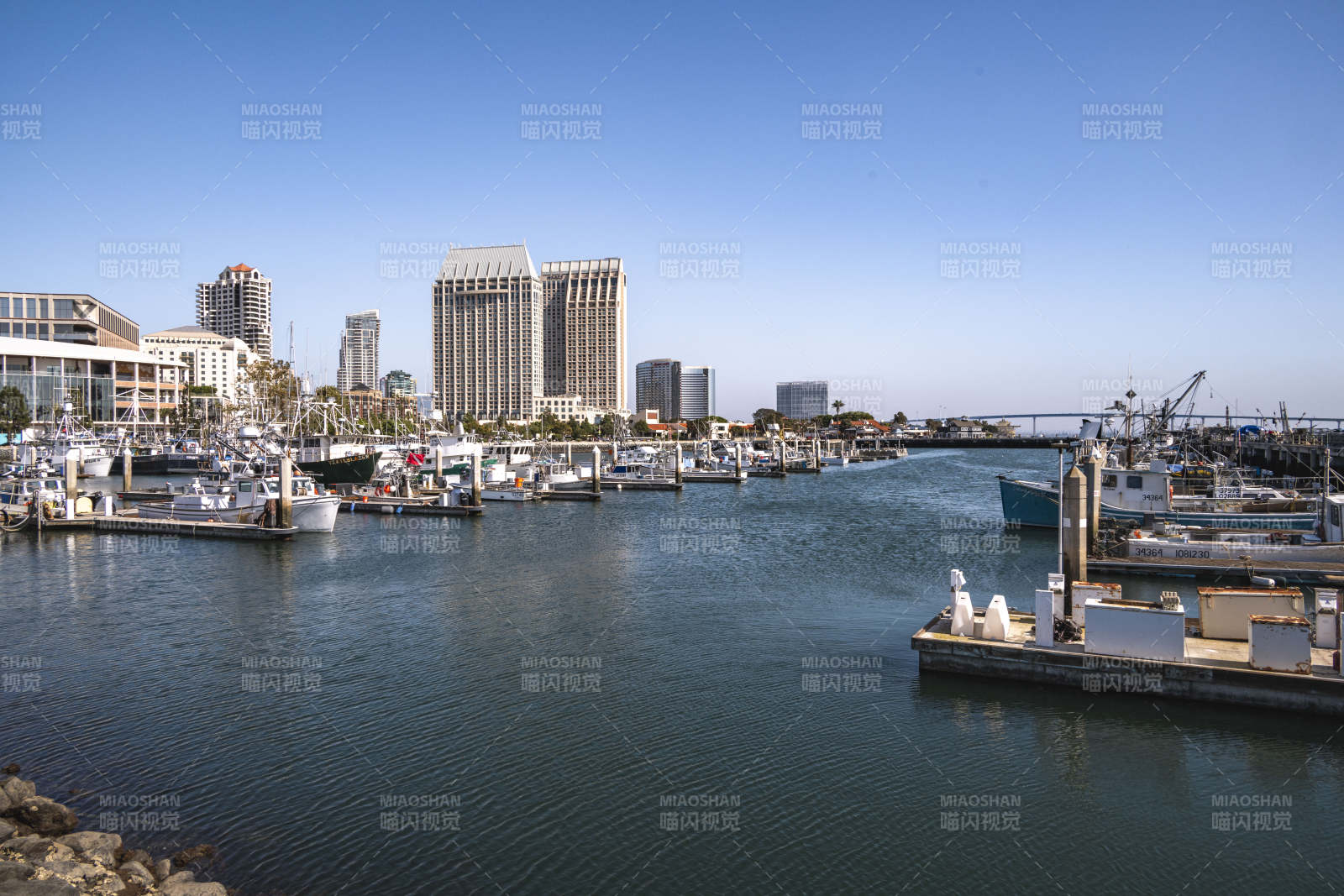城市港口风光图片