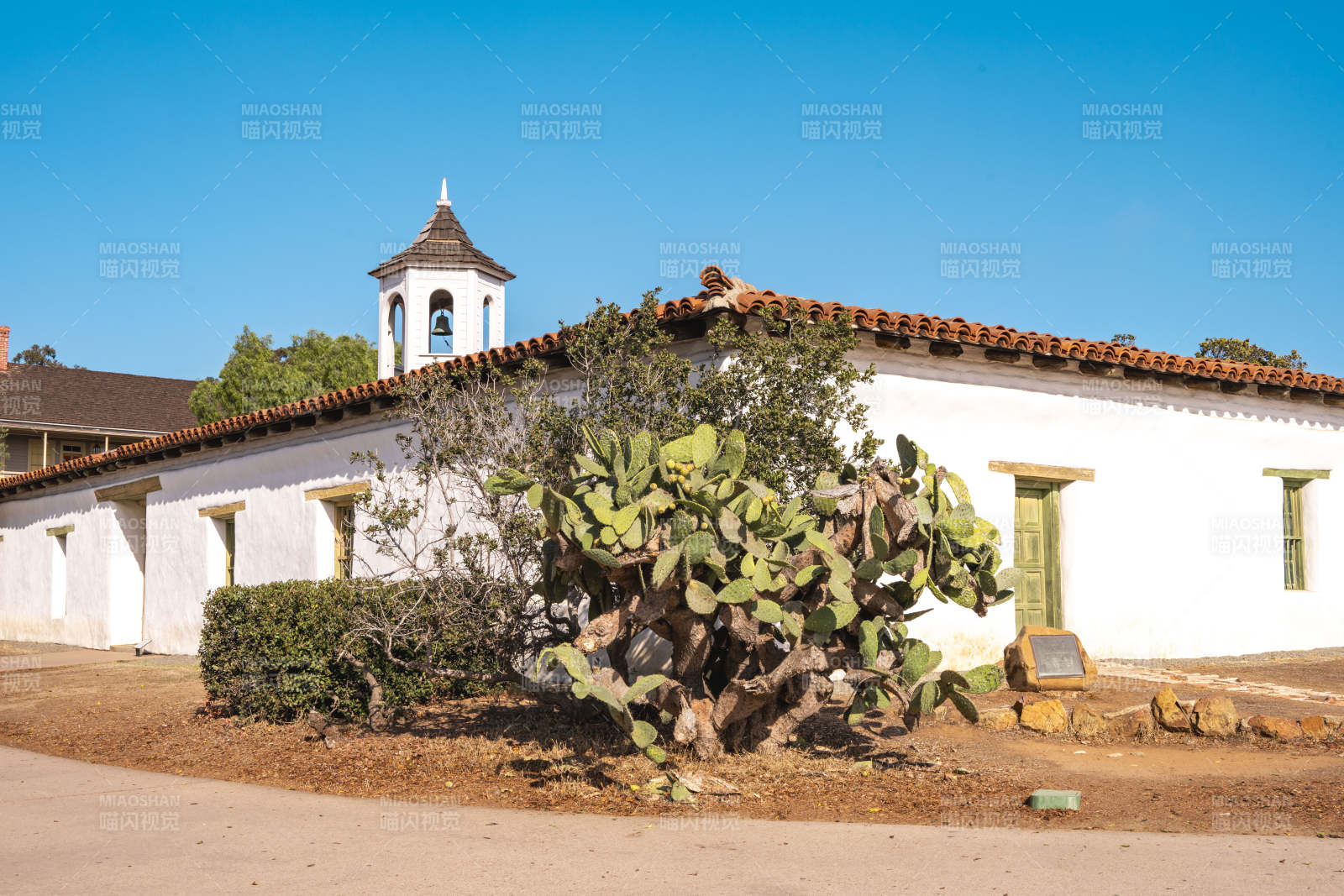 白色建筑与仙人掌图片