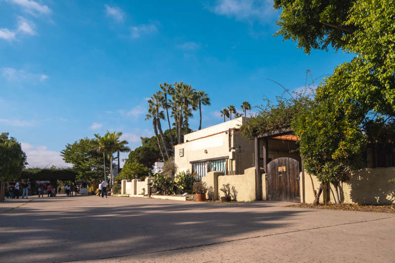 庭院入口 绿树成荫图片