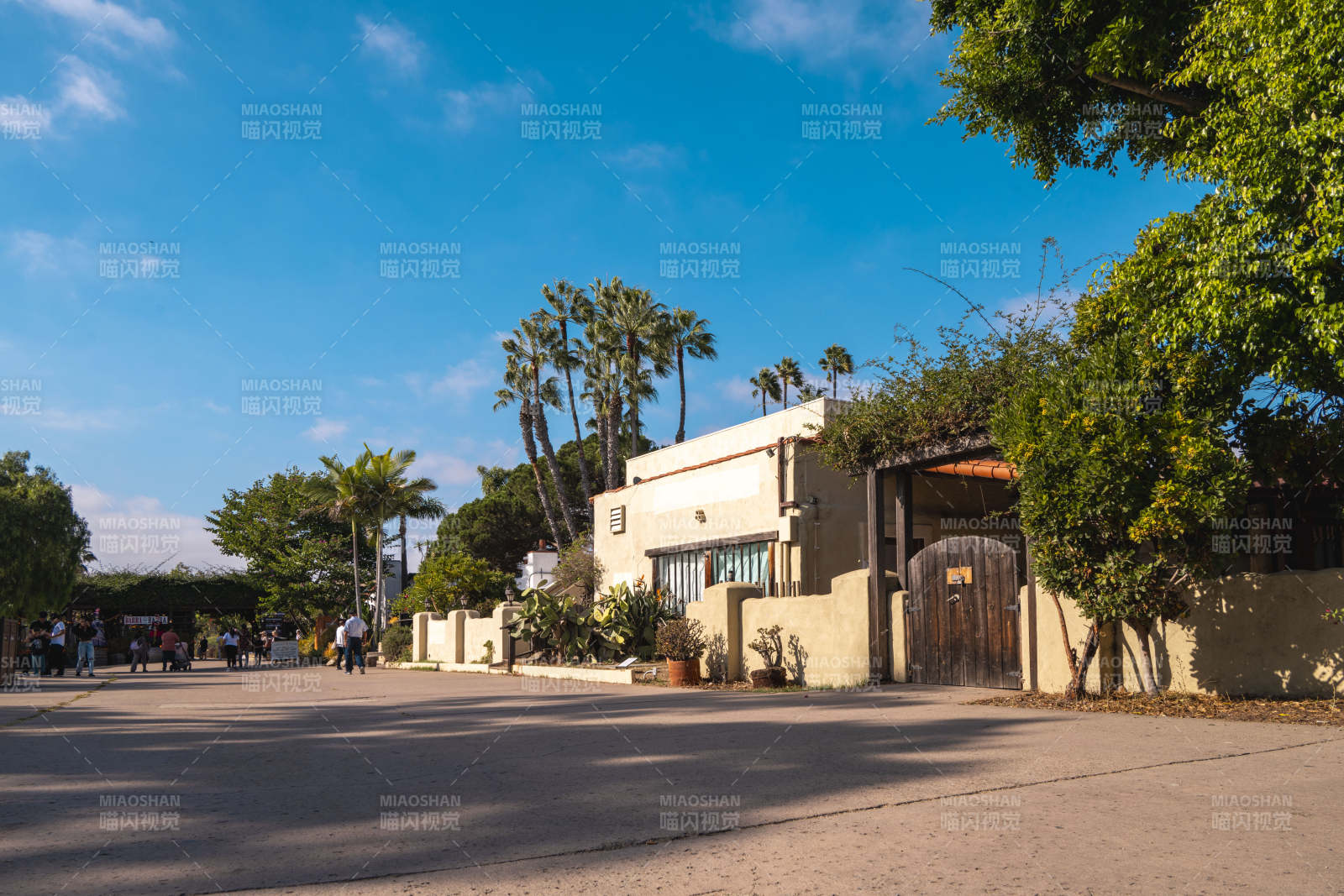 庭院入口 绿树成荫图片