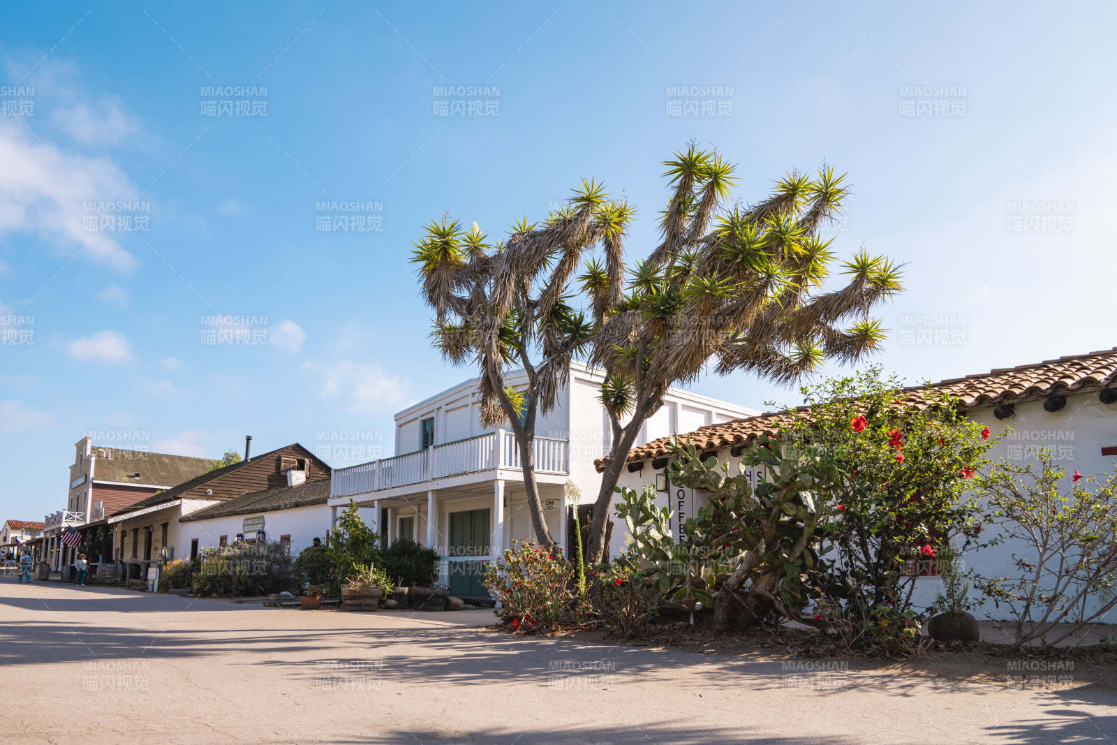 白墙红瓦的庭院风光图片