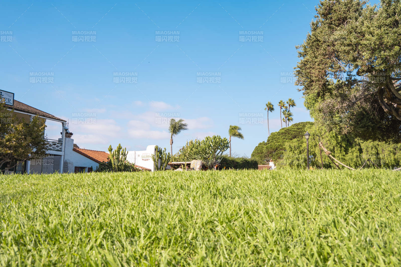 绿茵庭院风光图片