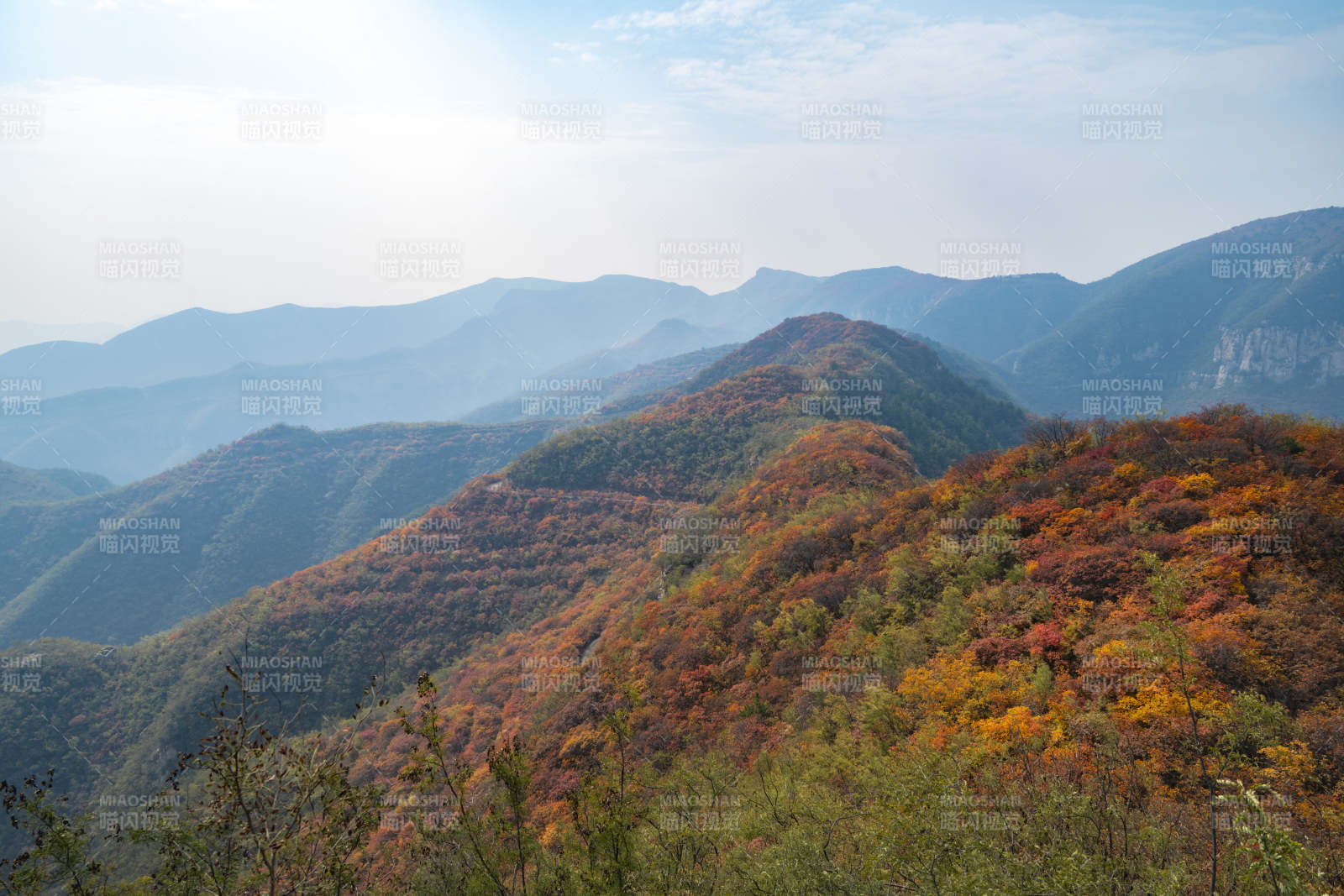 秋山层林尽染图片