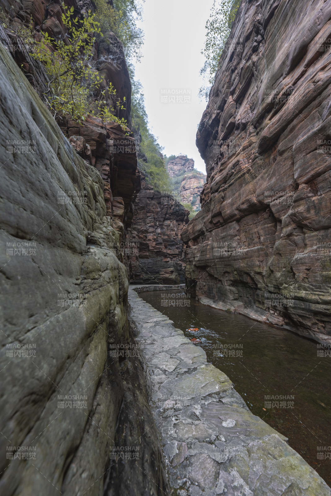 峡谷幽径图片