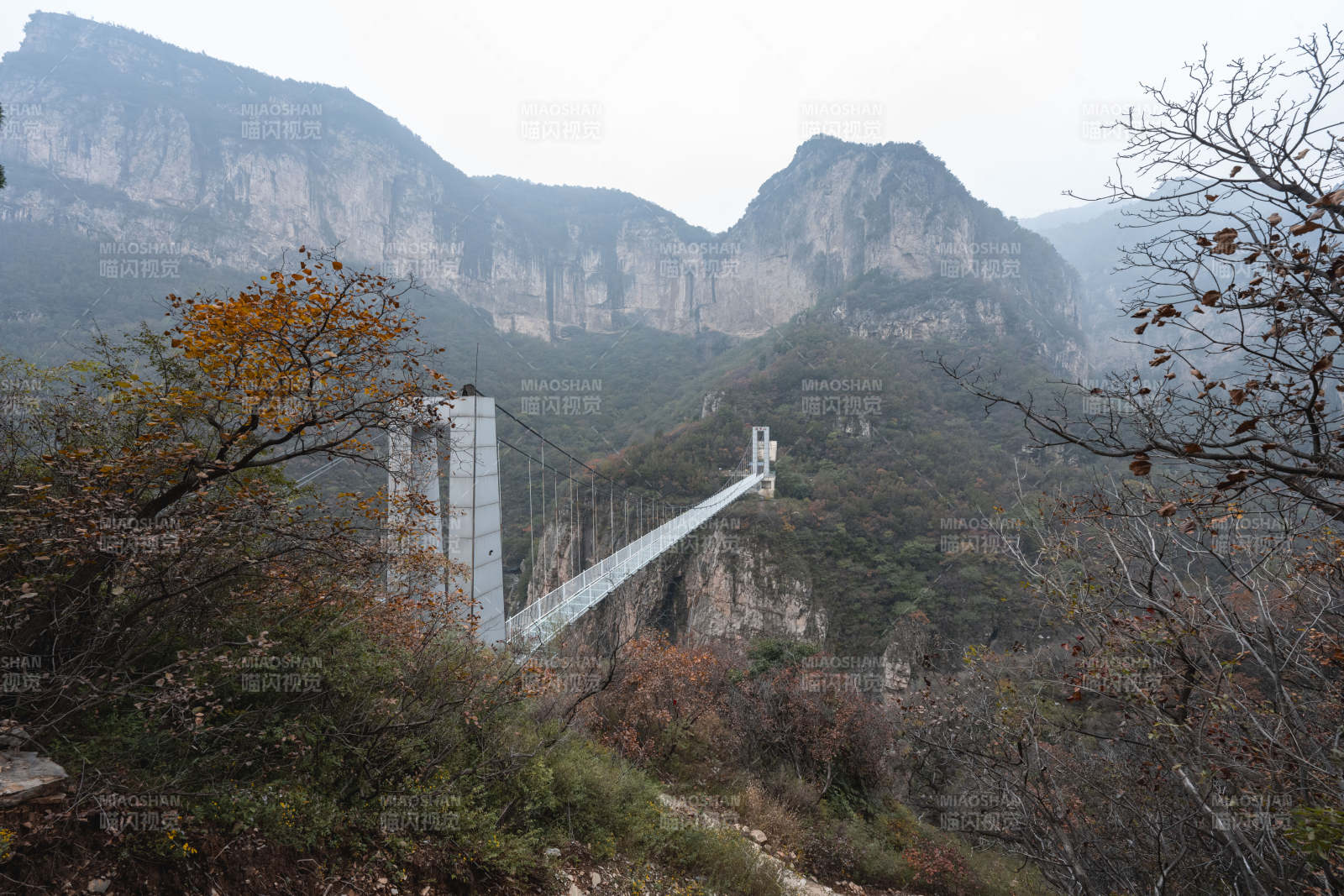 山间玻璃桥图片