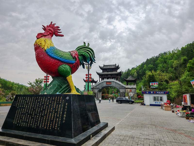 彩鸡迎宾图图片