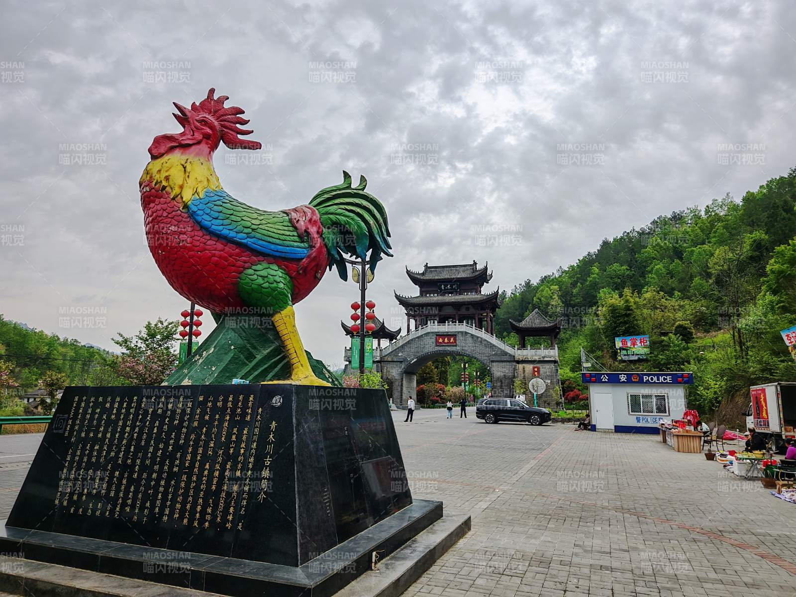 彩鸡迎宾图图片