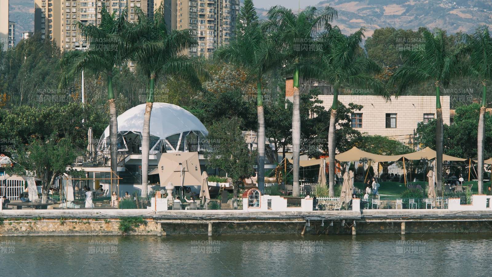 湖畔棕榈公园图片